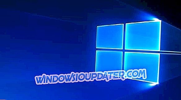 POPRAWKA: Microsoft Store nie działa na kompilacjach Insider dla Windows 10