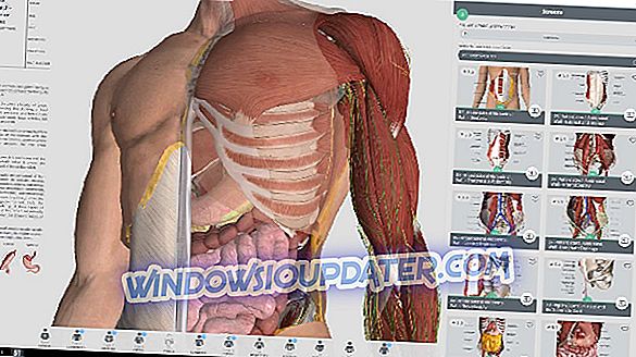 3D anatómia