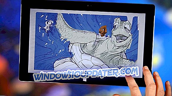 Muat turun App Cat Baru untuk Windows 10