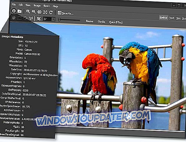 what software can open panasonic rw2 files